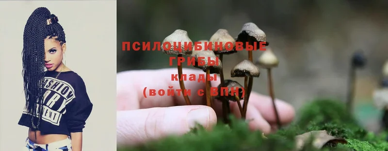 ссылка на мегу рабочий сайт  Ак-Довурак  Галлюциногенные грибы MAGIC MUSHROOMS 